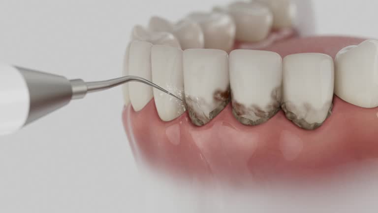 Reliable Dental contractor in Signal Mountain, TN by Dentist Open Now